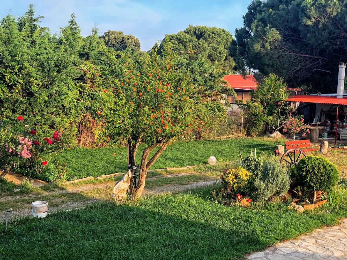Ivonnis Garden Villa Mesimvria  Exterior photo